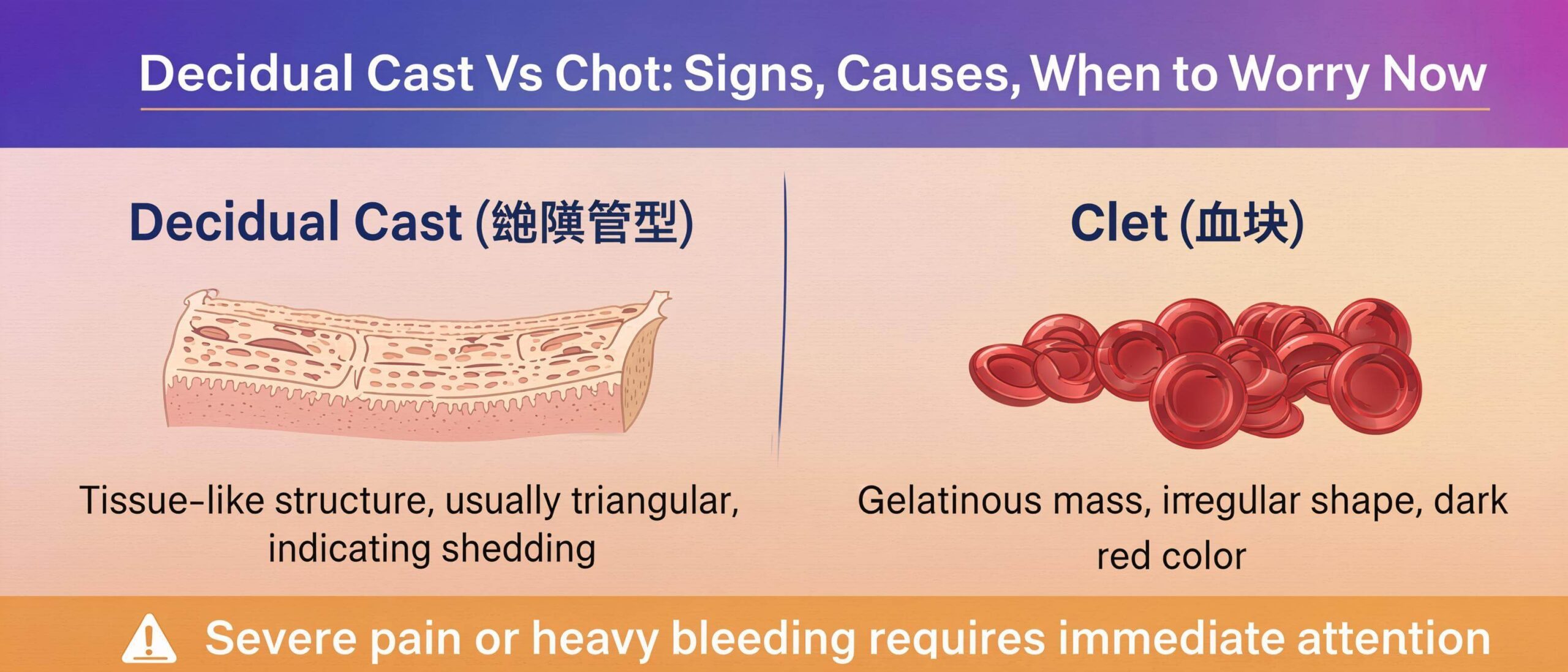 Decidual Cast Vs Clot: Signs, Causes, When to Worry Now